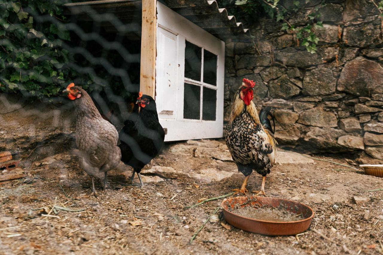 Country Village Senses Reguengo Grande Zewnętrze zdjęcie
