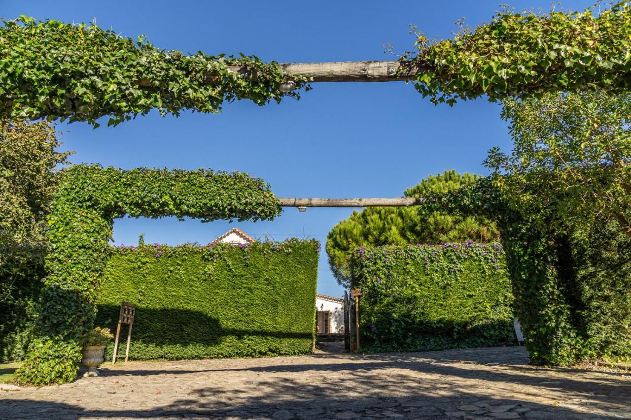 Country Village Senses Reguengo Grande Zewnętrze zdjęcie