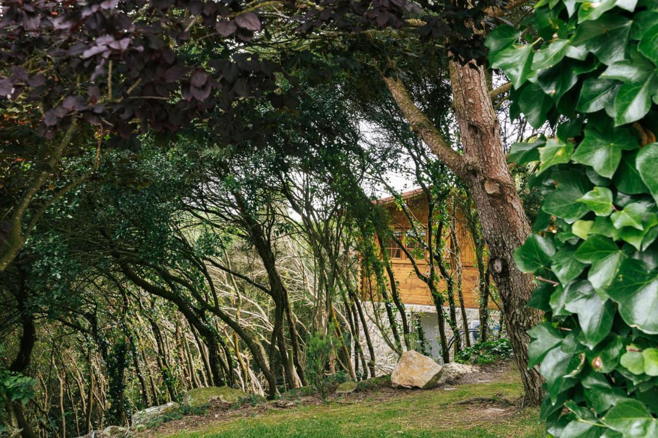 Country Village Senses Reguengo Grande Zewnętrze zdjęcie